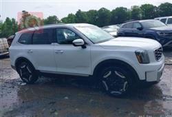 كيا تيلوريد